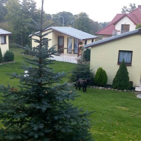 Willa Domki Letniskowe W Wapnicy Lubin  Zewnętrze zdjęcie