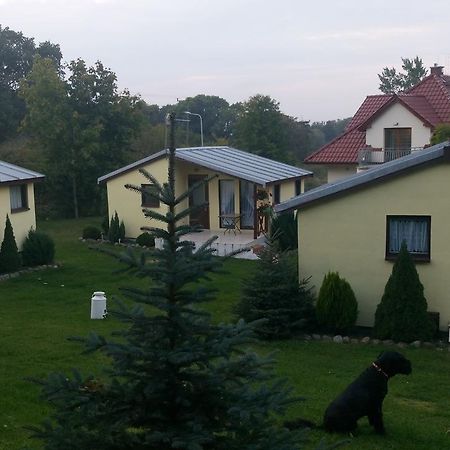 Willa Domki Letniskowe W Wapnicy Lubin  Zewnętrze zdjęcie