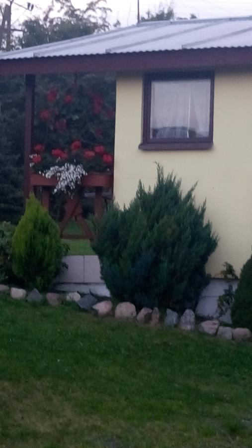Willa Domki Letniskowe W Wapnicy Lubin  Zewnętrze zdjęcie