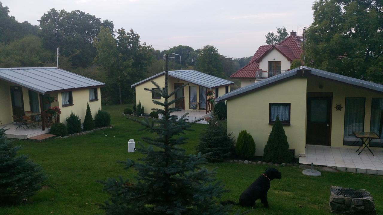 Willa Domki Letniskowe W Wapnicy Lubin  Zewnętrze zdjęcie